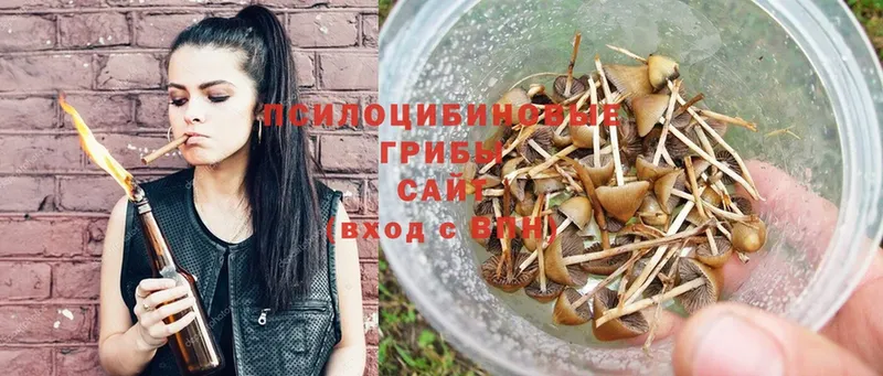 Псилоцибиновые грибы Psilocybe  Белый 